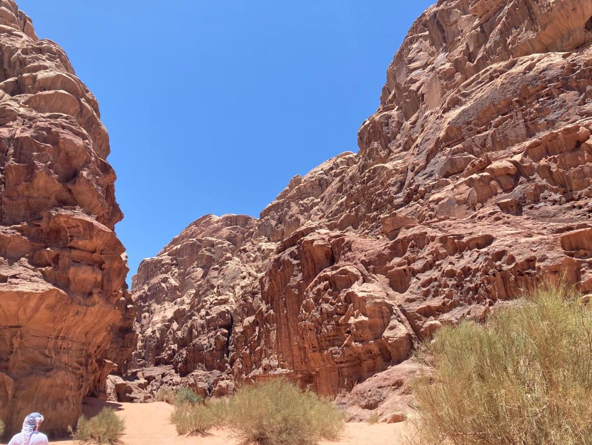 Bedouin Host Camp& With Tour Hotel Wadi Rum Exterior photo