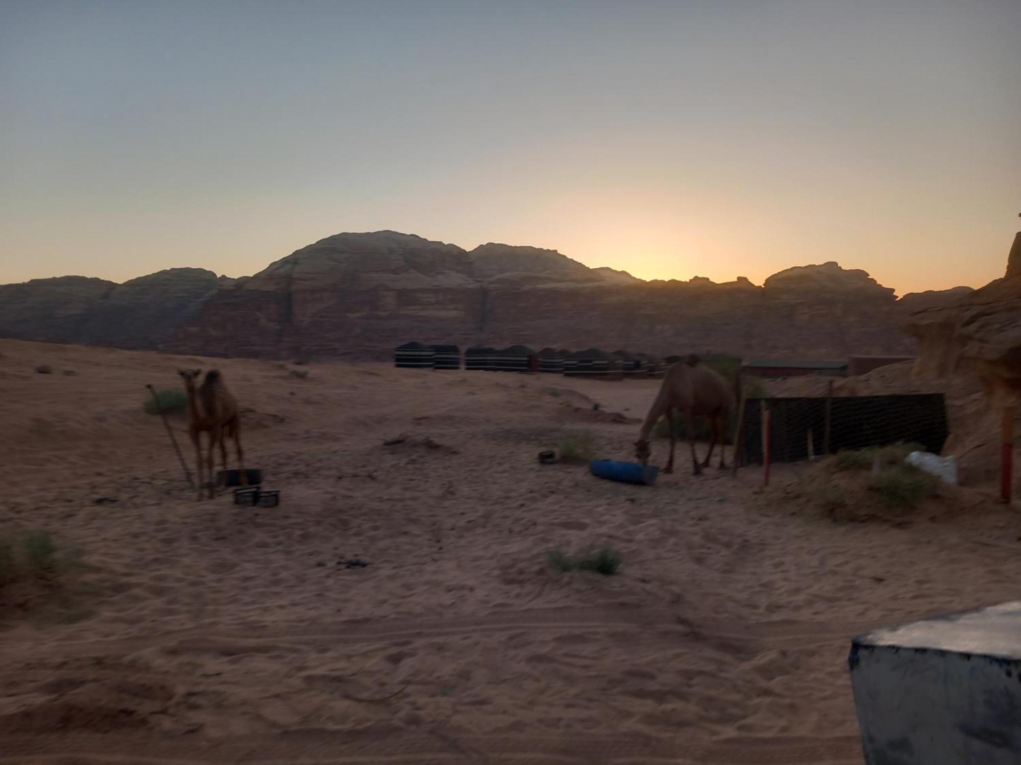 Bedouin Host Camp& With Tour Hotel Wadi Rum Exterior photo